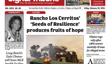 Full Issue: February 20, 2026