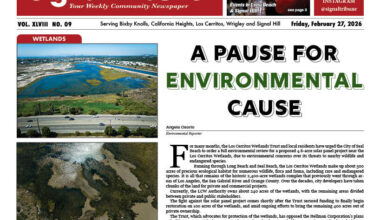 Full Issue: February 27, 2026