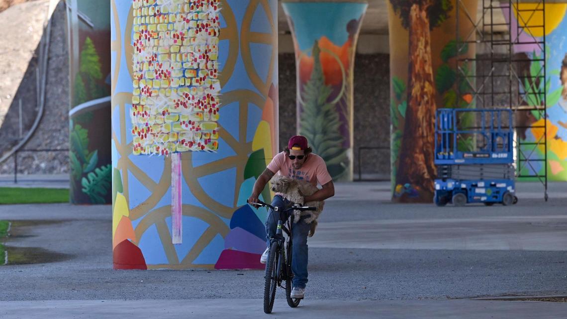 A man holds his dog as he rides through San Pablo Park which has support pillars decorated with murals Thursday, July 17, 2025 in Fresno. The murals by a dozen artists from Fresno and elsewhere are a Caltrans-funded project in collaboration with the Fresno Arts Council.
