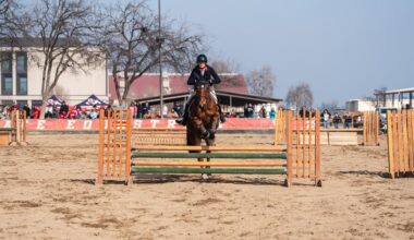 Fresno State and TCU Share January Big 12 Equestrian Accolades