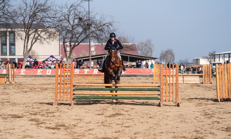Fresno State and TCU Share January Big 12 Equestrian Accolades