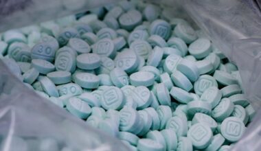 Dealer gets 12 years for fatal fentanyl sale to Carlsbad woman, 25 – NBC 7 San Diego