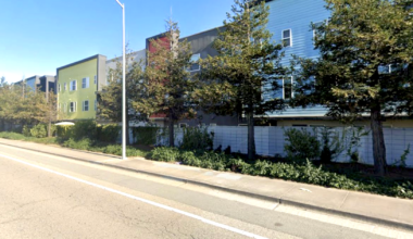 Dense tree barriers to cut air pollution are coming to West Oakland