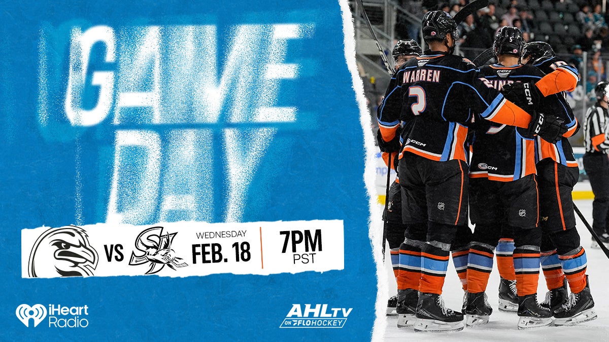 Gulls Gear Up for Battle Against Barracuda