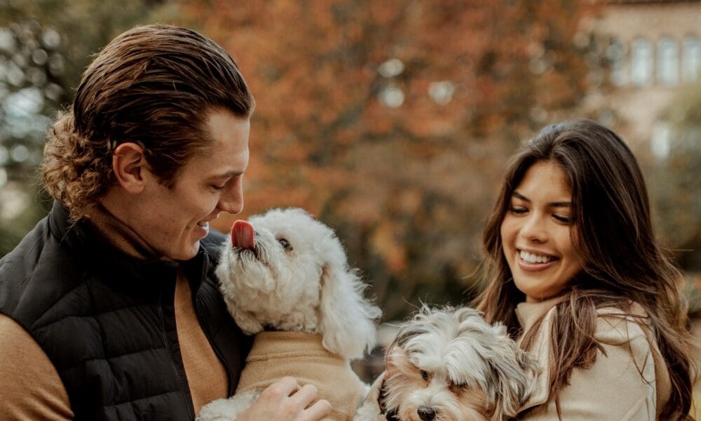 Shark’s Best Friend: The Dogs of the San Jose Sharks, 2025