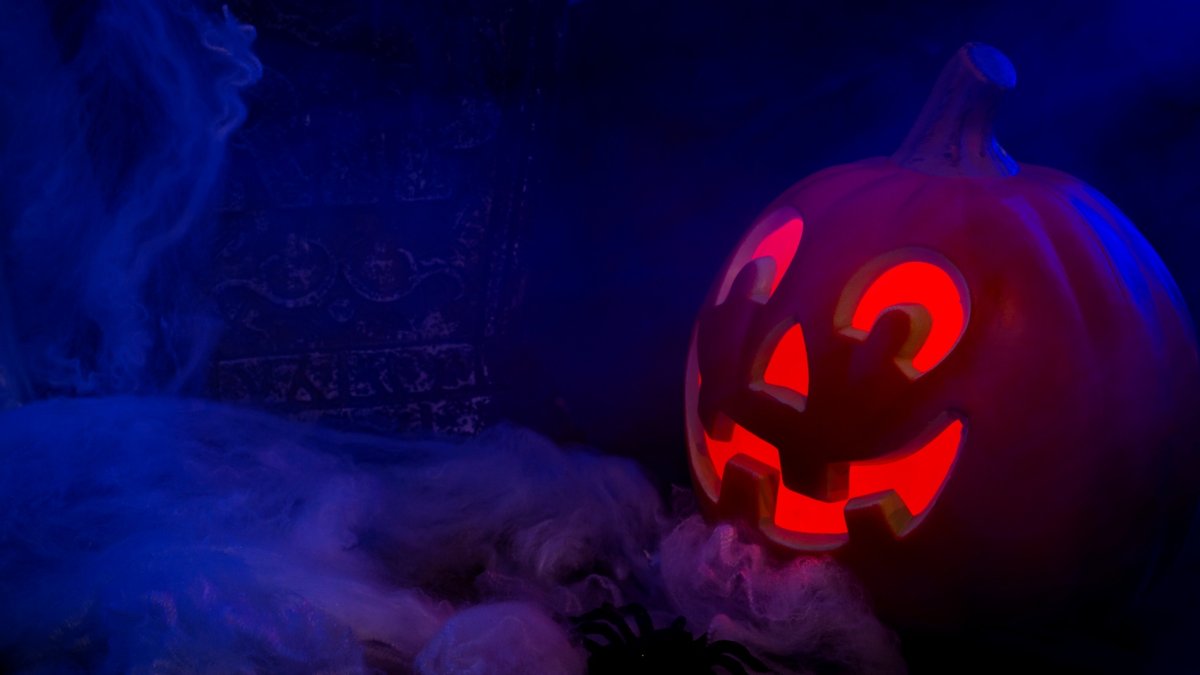 The Midsummer Scream pre-sale is hauntingly here – NBC Los Angeles