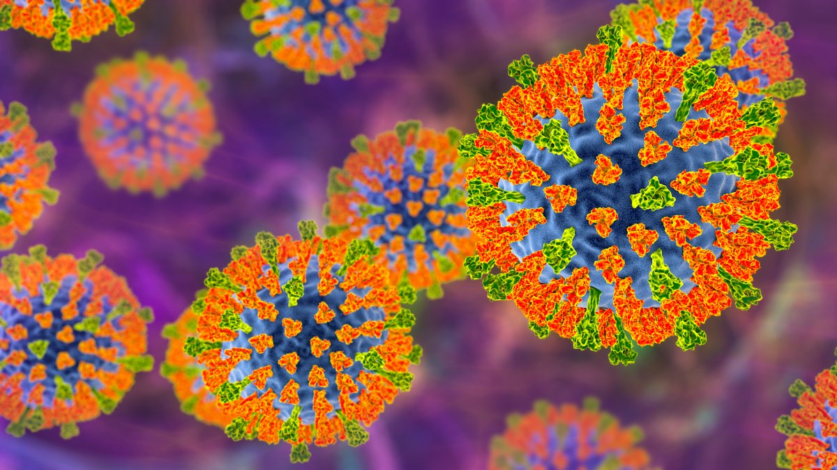 San Bernardino County reports first measles case – NBC Los Angeles