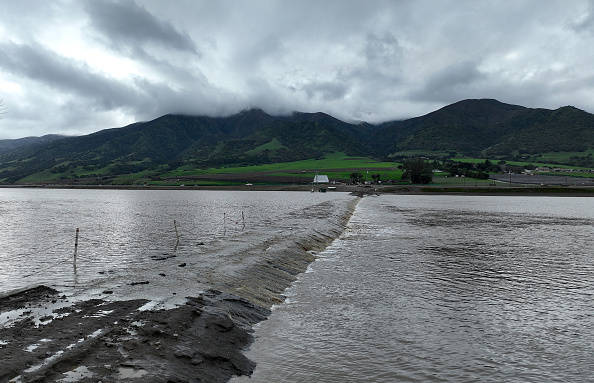At least 3 people have died from eating Death Cap mushrooms in California