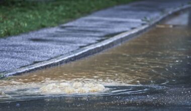 Man Goes Street Surfing After Heavy Flooding in Long Beach