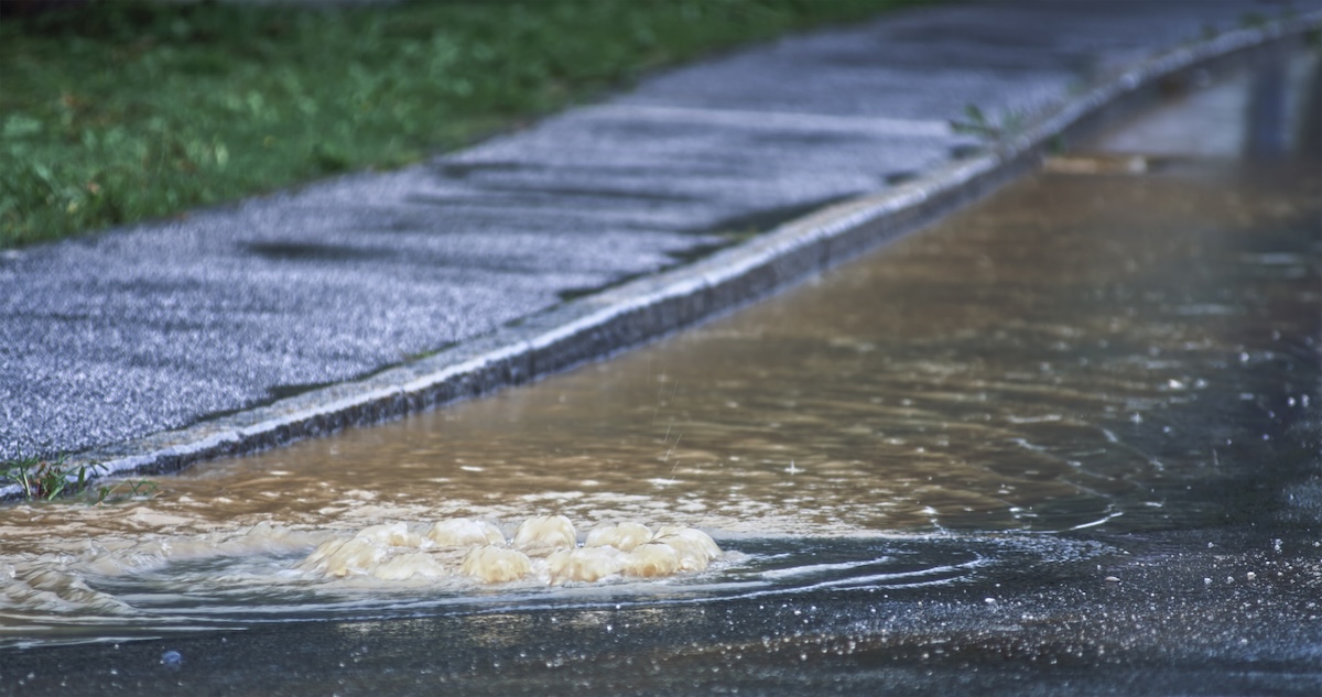 Man Goes Street Surfing After Heavy Flooding in Long Beach
