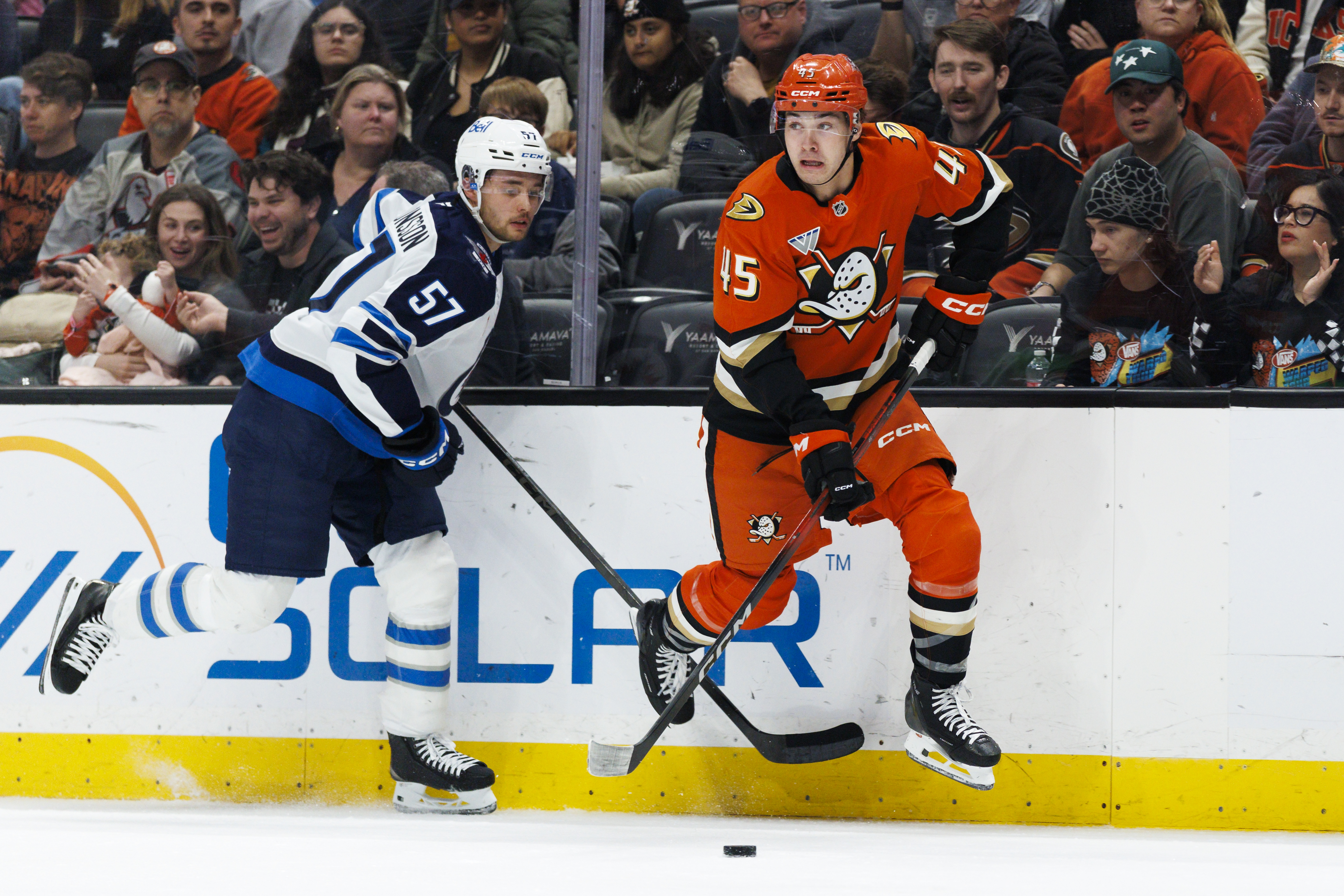 Ducks rookie Beckett Sennecke, right, skates with the puck as...