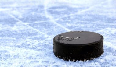 2026 MHSAA boys ice hockey regional pairings for Oakland County teams – The Oakland Press