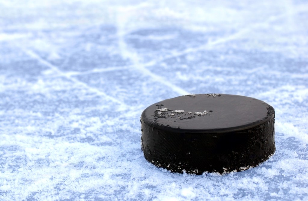 2026 MHSAA boys ice hockey regional pairings for Oakland County teams – The Oakland Press