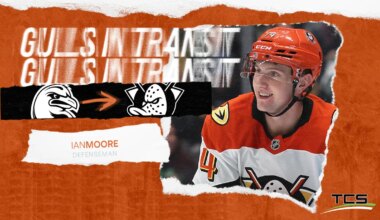 Anaheim Ducks Recall Moore and Washe From San Diego