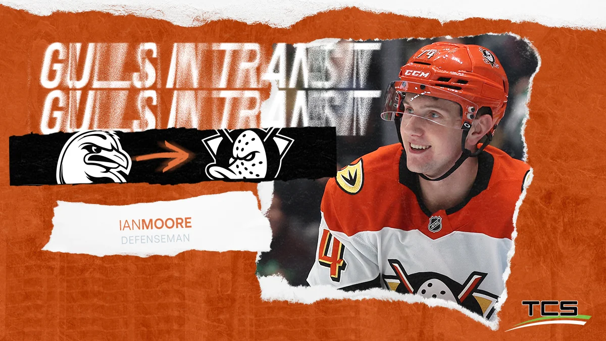 Anaheim Ducks Recall Moore and Washe From San Diego