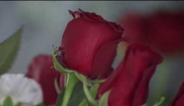 ICE concerns may be tied to low turnout for street vendors on Valentine’s Day – NBC Bay Area