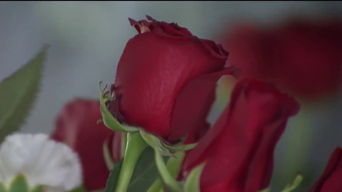 ICE concerns may be tied to low turnout for street vendors on Valentine’s Day – NBC Bay Area