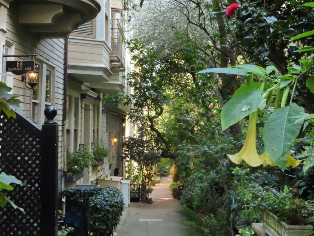 Macondray lane in SF