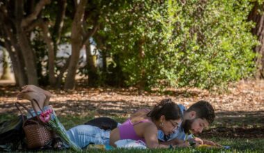 East Sacramento park praised as a top U.S. ‘micro-escape’