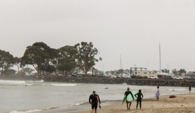 Herbicide Could be Making Its Way to South OC Beaches