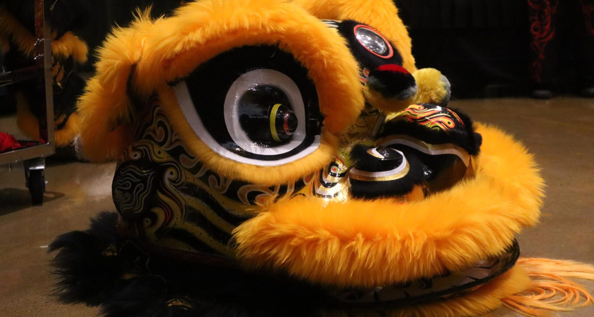 Lion dance and cultural performances ring in Lunar New Year at Sac State – The State Hornet