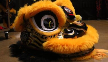 Lion dance and cultural performances ring in Lunar New Year at Sac State – The State Hornet