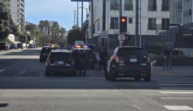 Venice Shorts: Stolen Car Recovered by LAPD