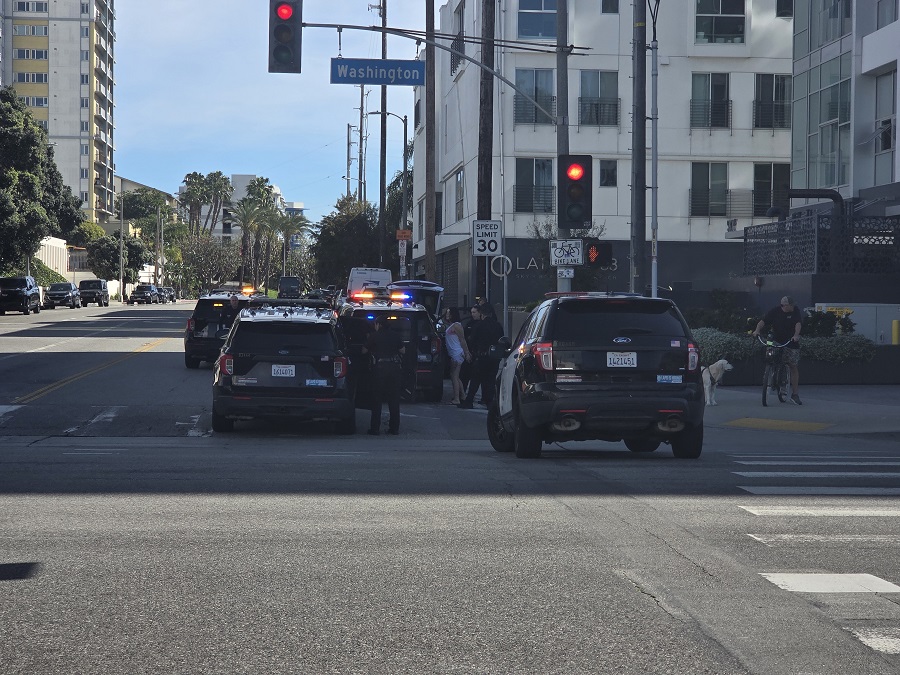 Venice Shorts: Stolen Car Recovered by LAPD