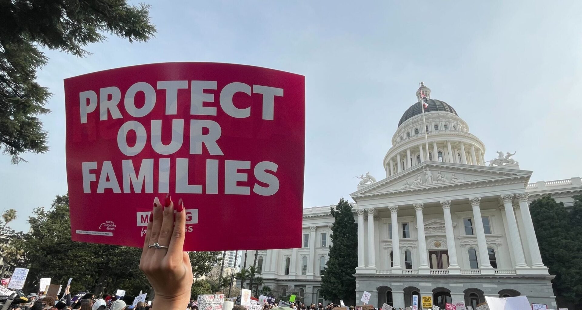 Students protest at Capitol