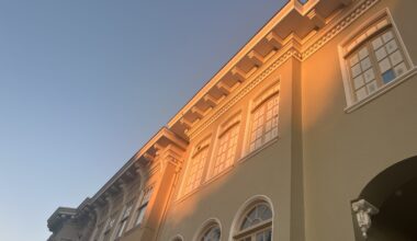 February festivities and other updates