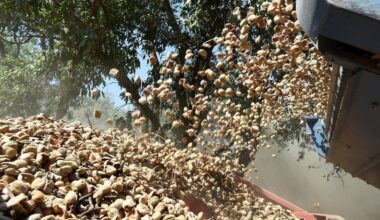 Major farmland sales in Fresno County reach millions