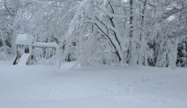 News 12 | Long Island