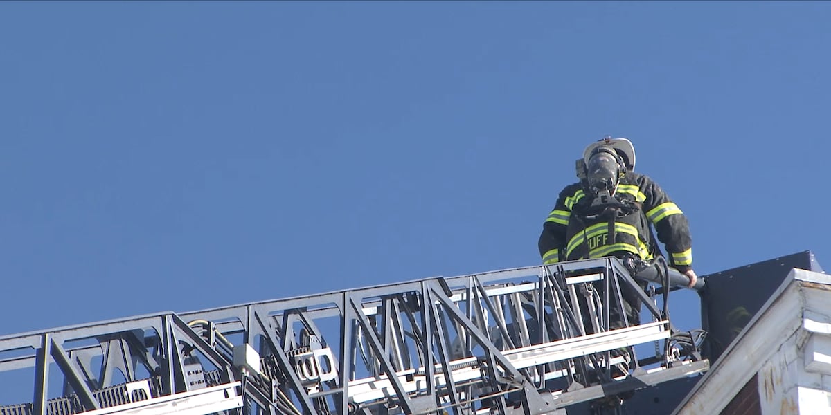 16 displaced after fire in Forest Park