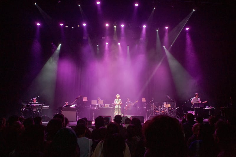 Artist performing at a concert