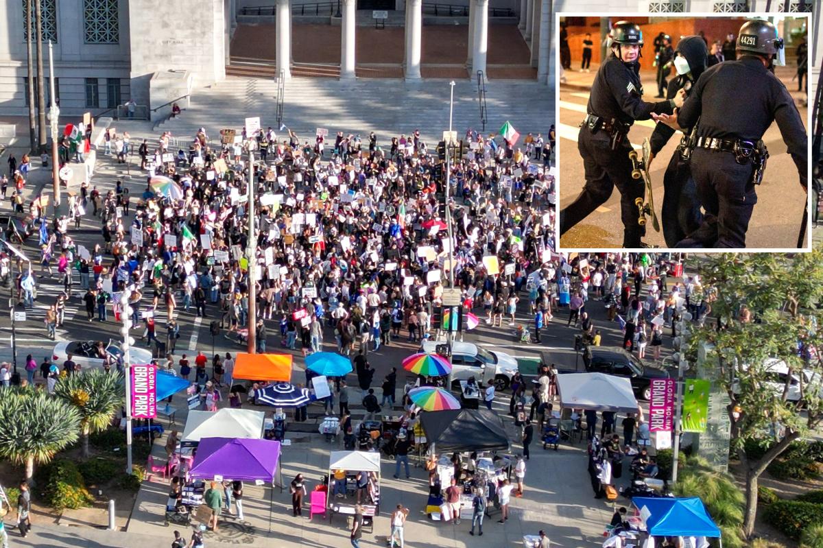 LA protester aims gun at feds then flees scene