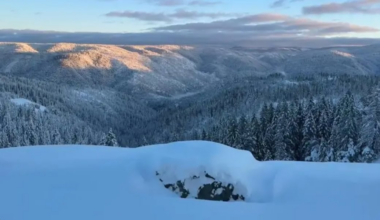 Investigation of deadly California avalanche to review whether criminal negligence played a role