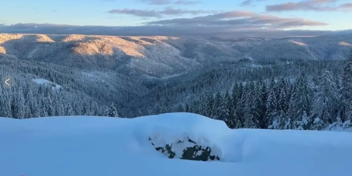 Investigation of deadly California avalanche to review whether criminal negligence played a role