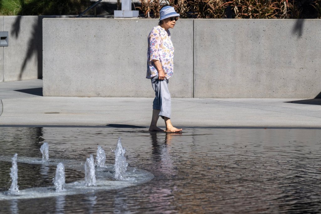 Families unveil ‘Lost Screen Memorial’ amid landmark trial case against tech – Daily News