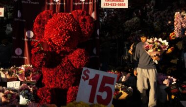 Valentine’s Day week at Original Los Angeles Flower Market is a love treat – Daily News