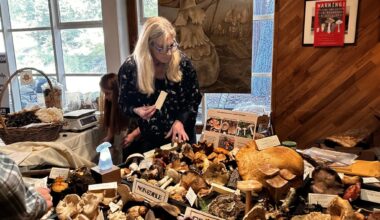 Peninsula restaurants, food fests serve up fungi, pho and wasabi – The Mercury News