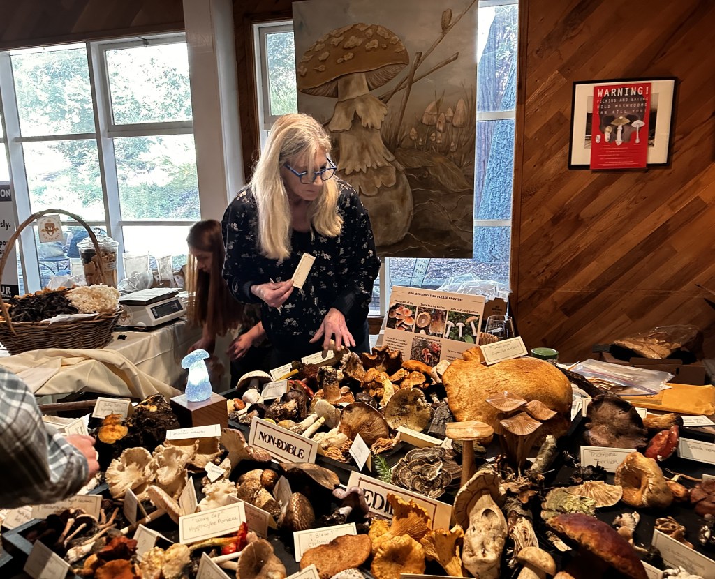 Peninsula restaurants, food fests serve up fungi, pho and wasabi – The Mercury News