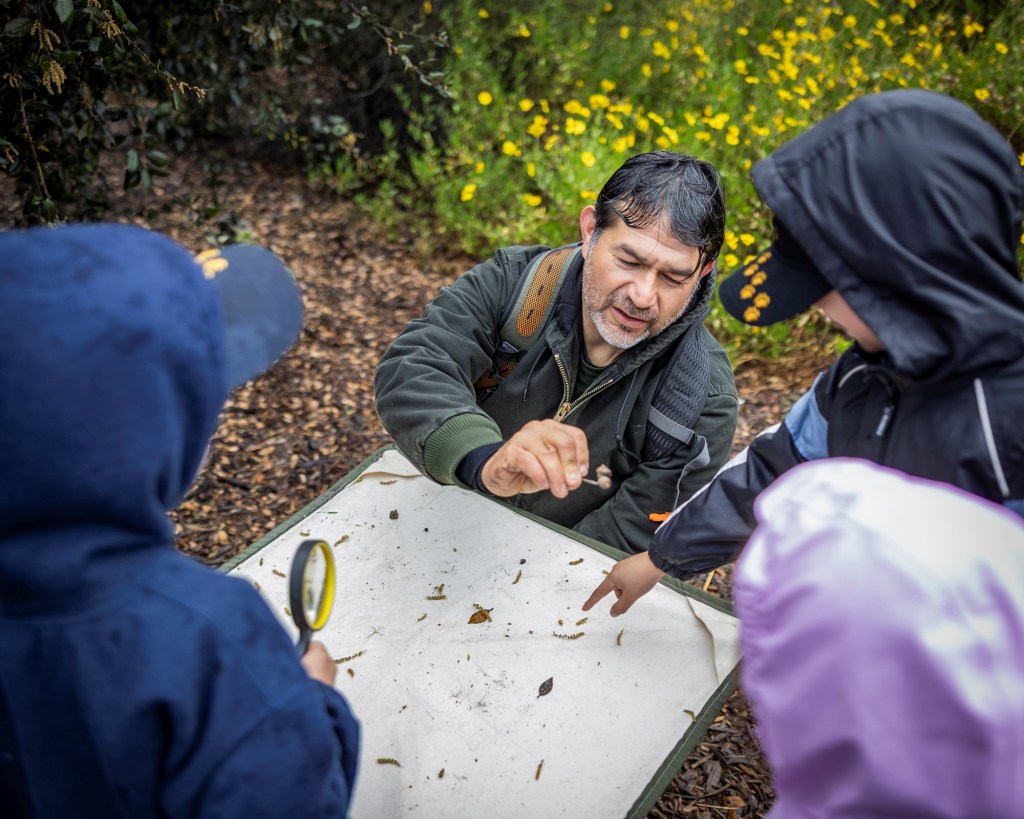Long Beach’s Family Days in Nature spring event series returns next month – Press Telegram