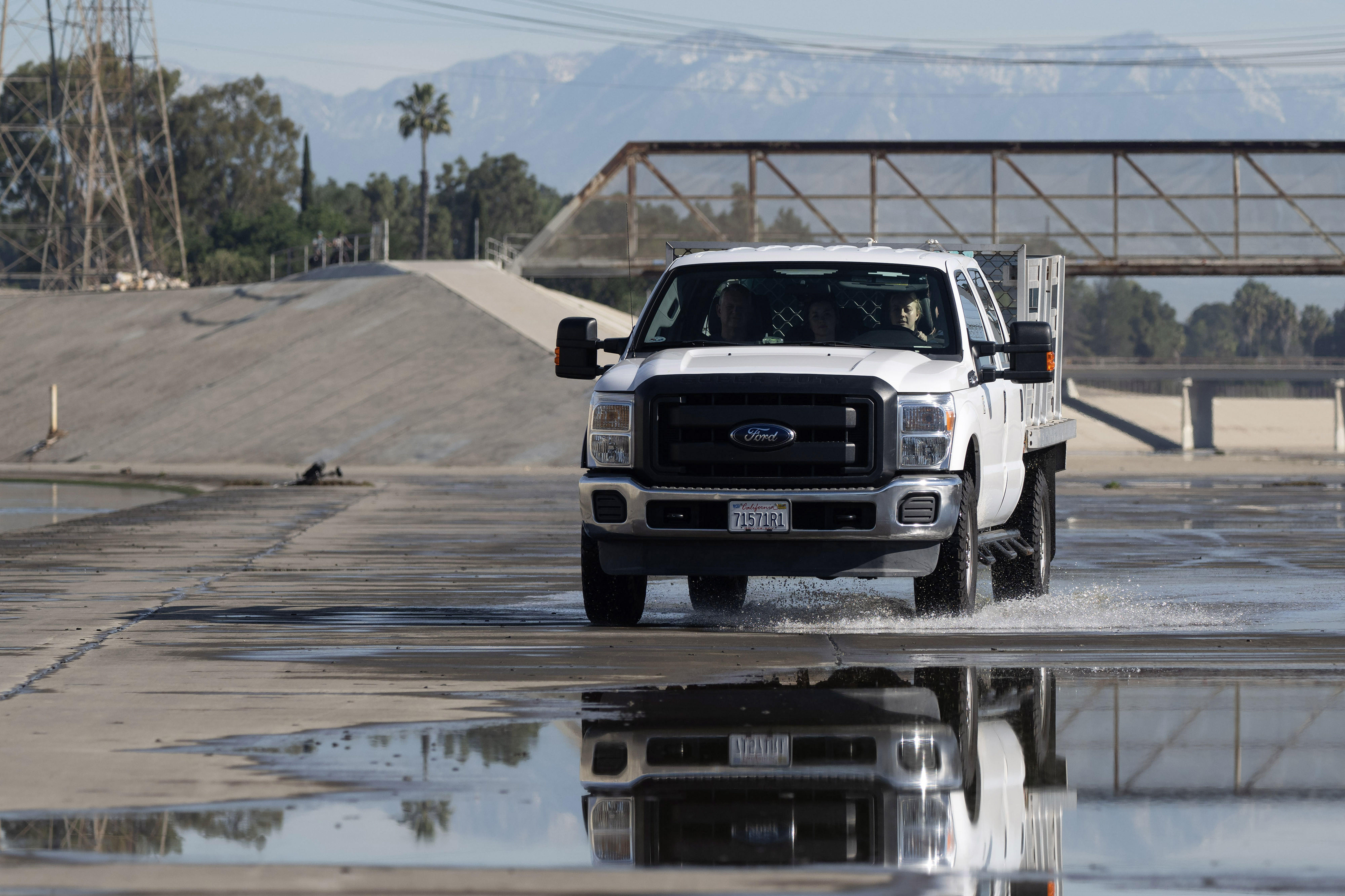 Aquarium of the Pacific staff prepare to release Porkchop, a...