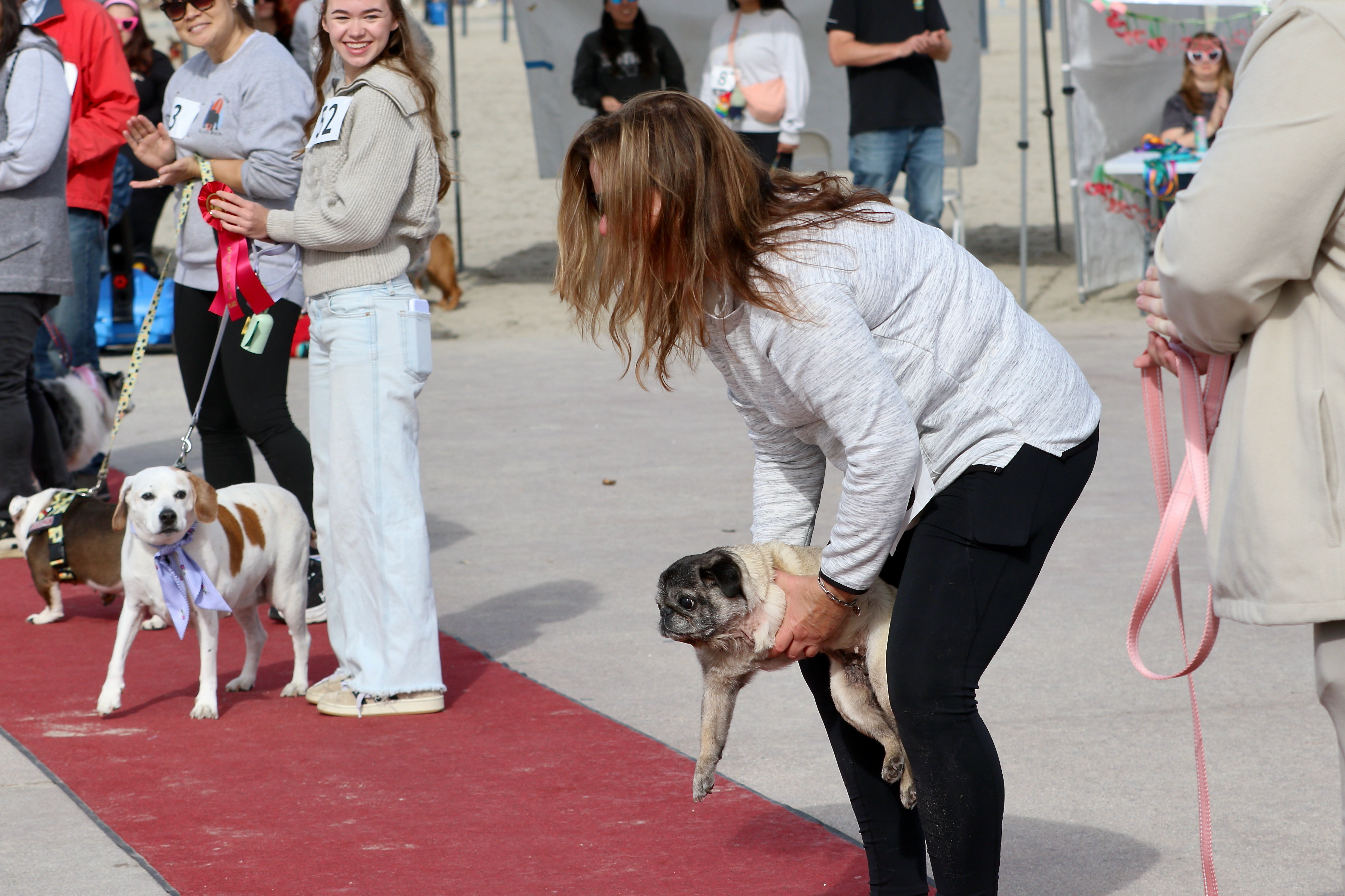 Michelle Young of Long Beach lifts her 14-year-old pug, Mia,...