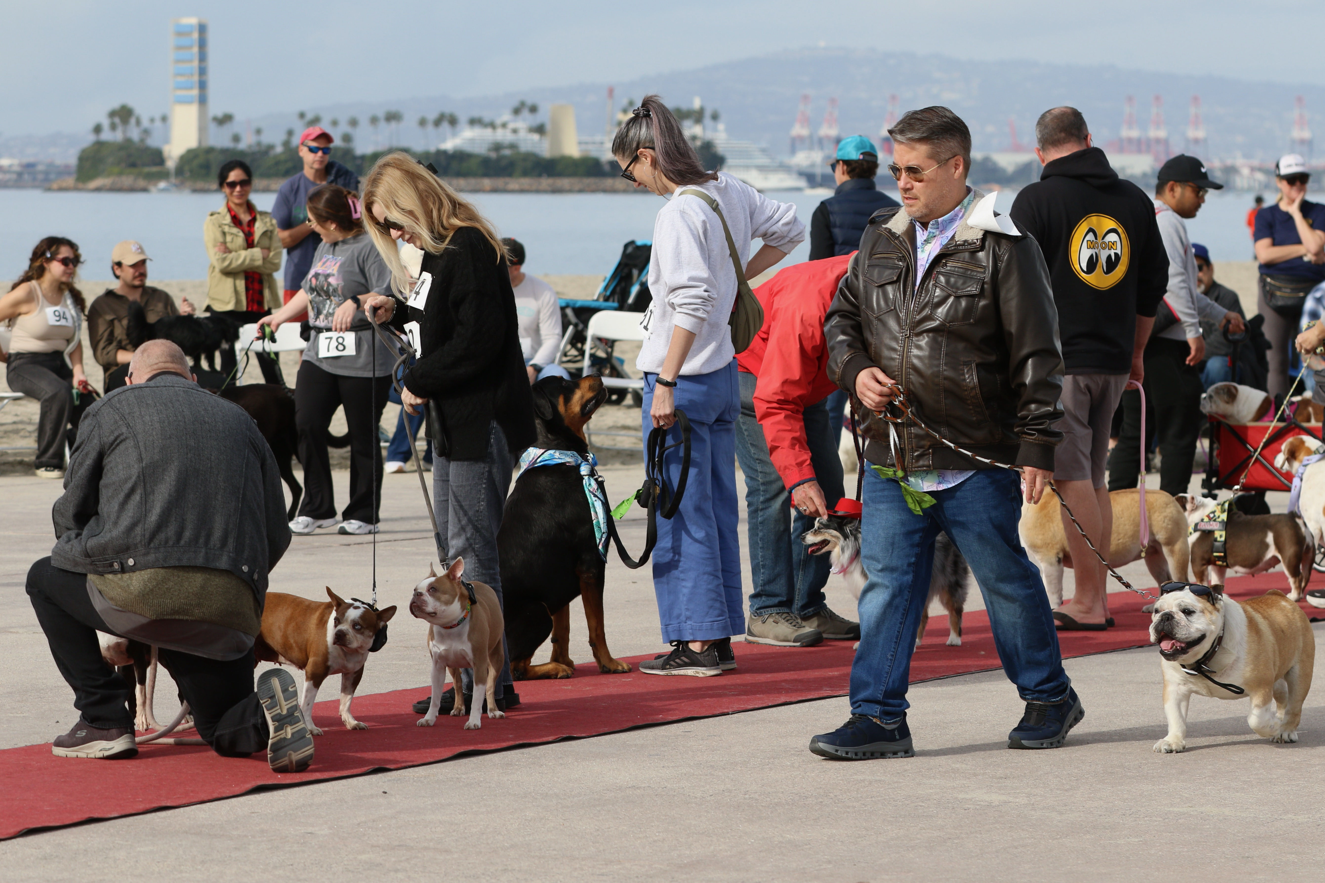 Participants line up on the red carpet for voting at...