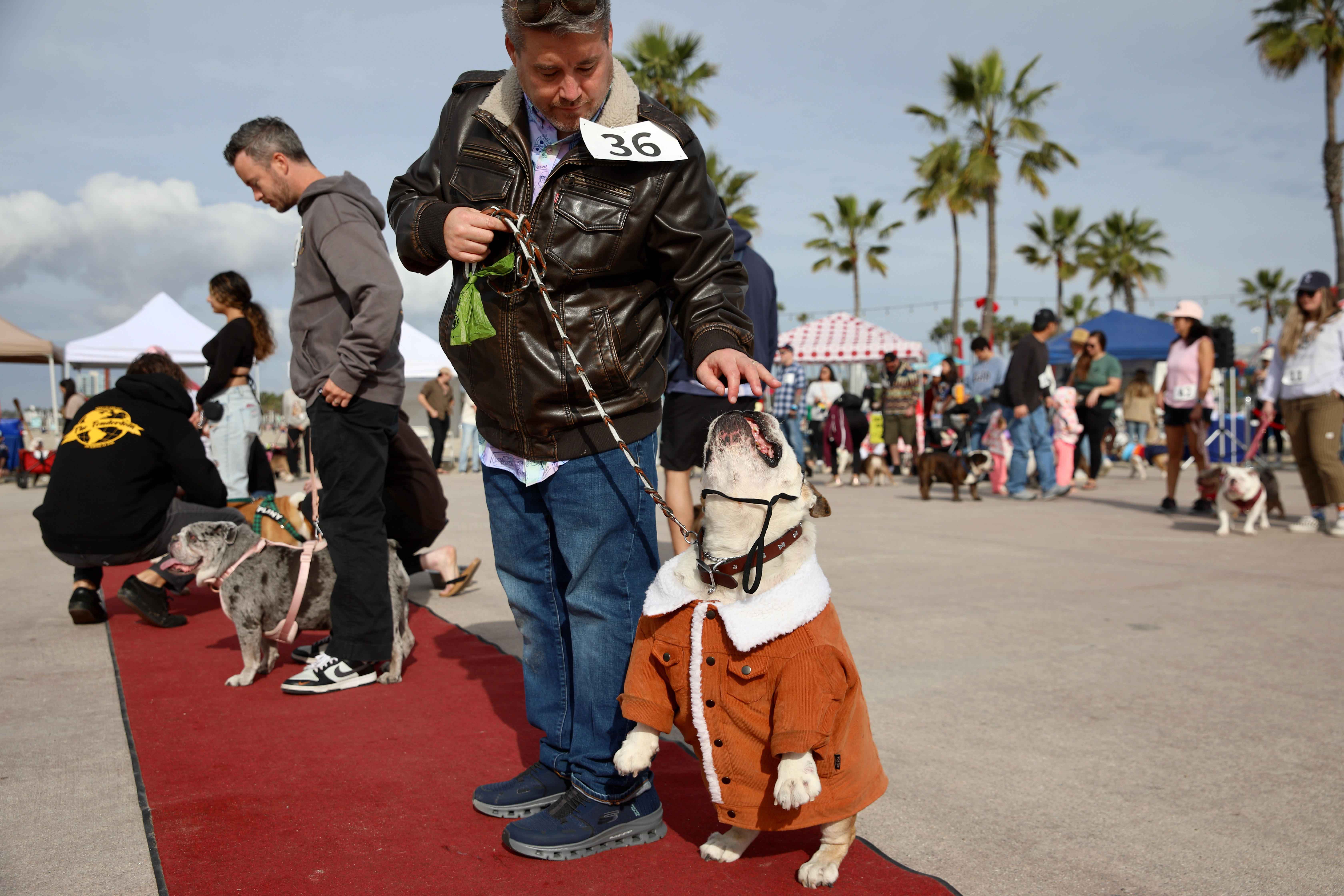 Marvin, a sharply-dressed English bulldog, gets a treat from Craig...