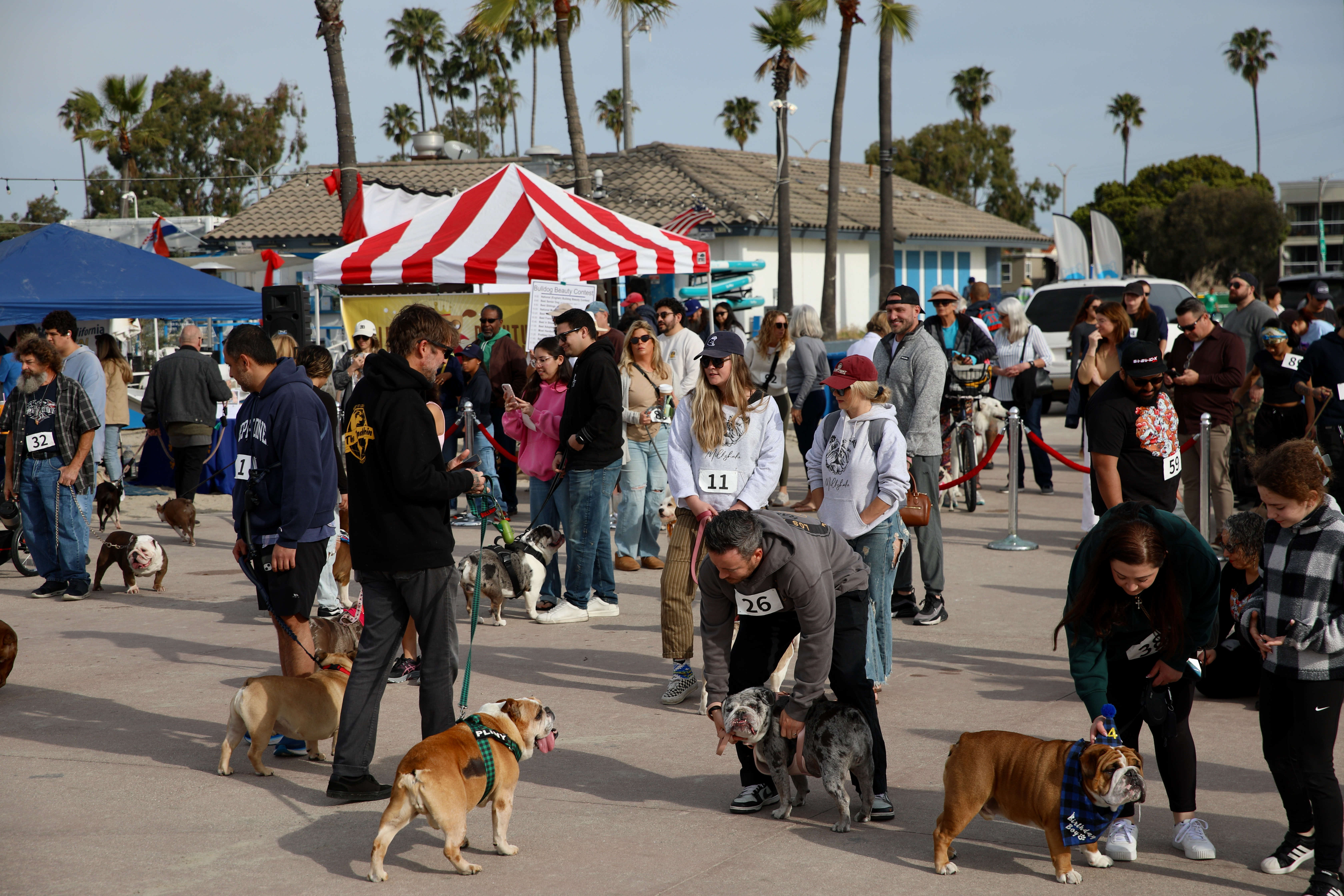 Participants turn out for the 21st annual Bulldog Beauty Contest...