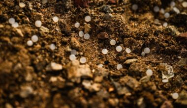 PRESS RELEASE: San Diego Coastkeeper & CERF reach resolution with BNSF Railway over transportation of plastic pellets ~ MAVEN'S NOTEBOOK