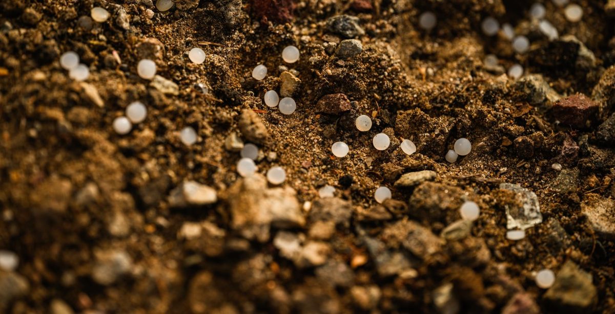 PRESS RELEASE: San Diego Coastkeeper & CERF reach resolution with BNSF Railway over transportation of plastic pellets ~ MAVEN'S NOTEBOOK