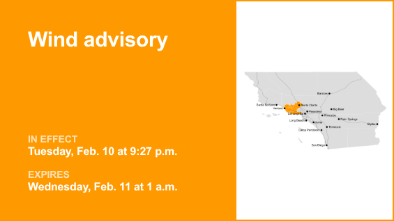 Los Angeles County under a wind advisory until 1 a.m. Wednesday – gusts to hit 45 mph – Daily News